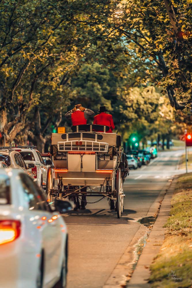 Horse carriage view