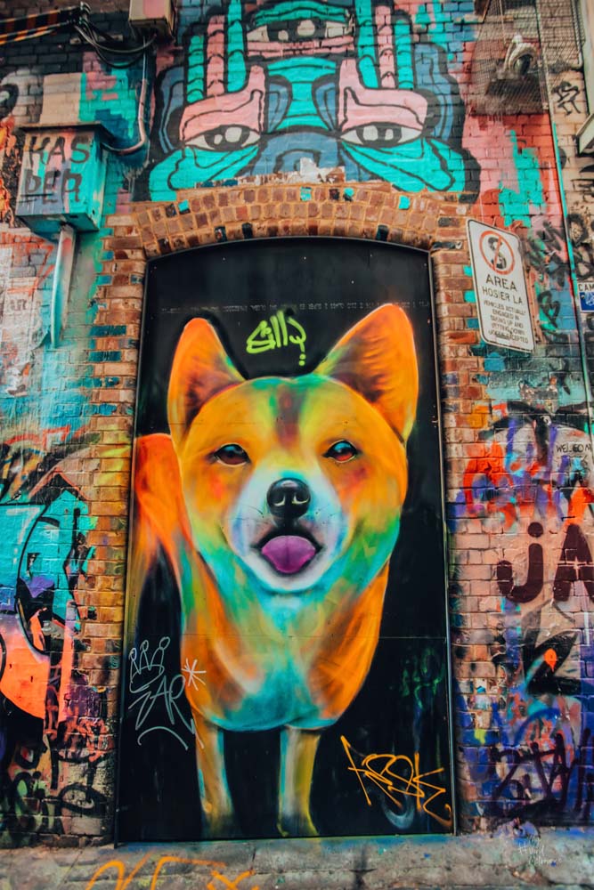 Colourburst down the walkways