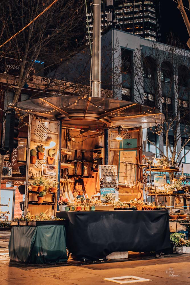 Melbourne Street Vibes