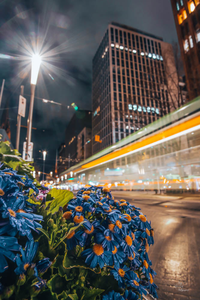 Tram Trails at Swanston Street