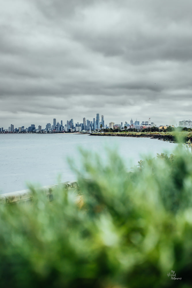 City View from Point Ormond