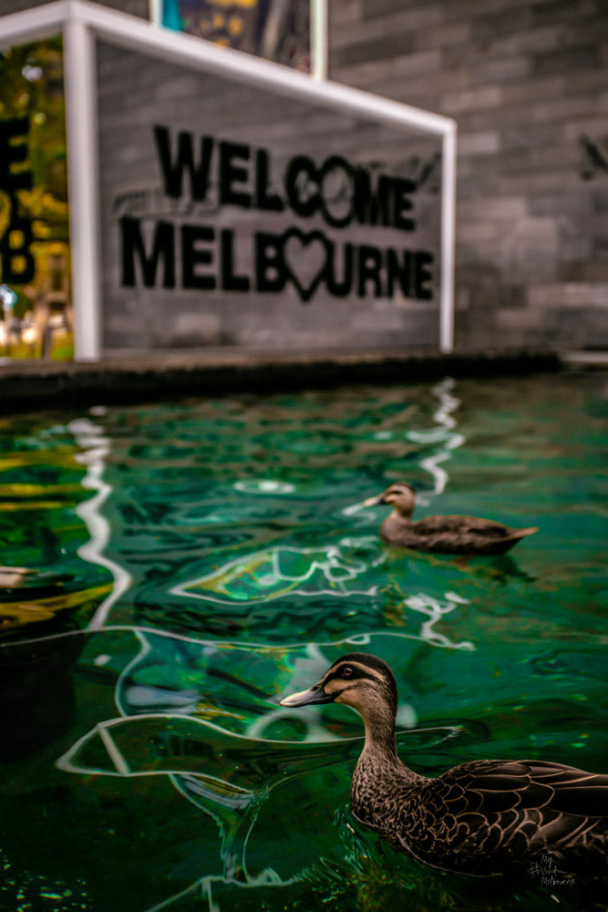 Welcome to Melbourne