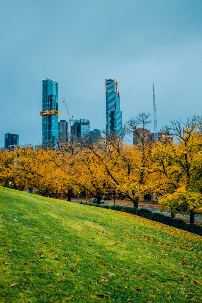 Enchanting Fall