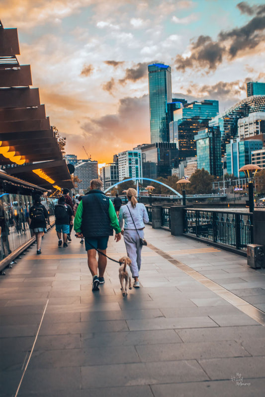 Sundown walks with paw friend