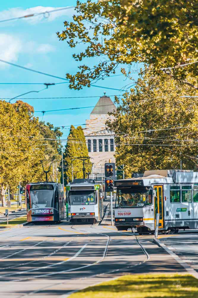 Trams! Trams! Trams!